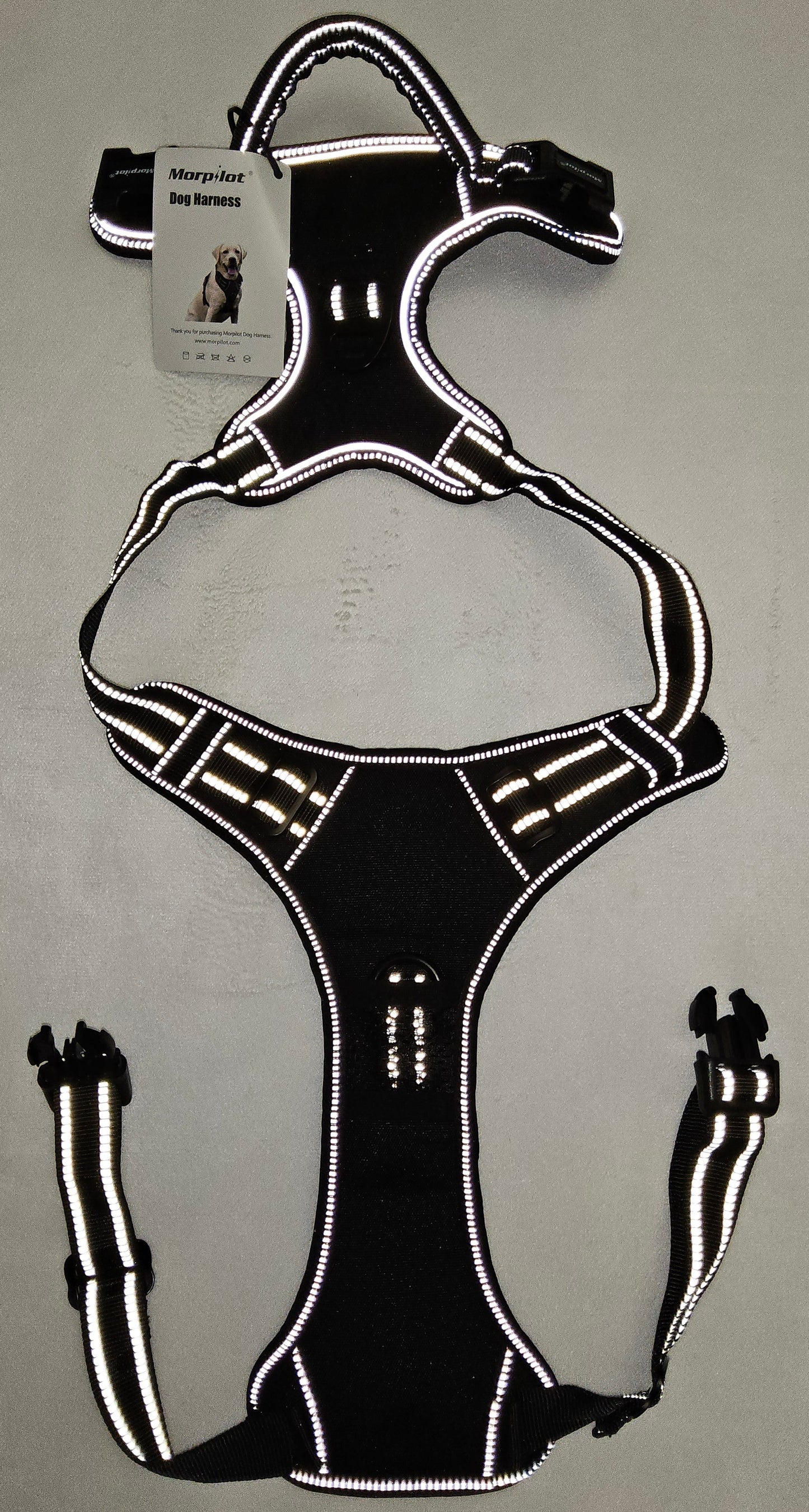 Heimtier Geschirr Gr. L