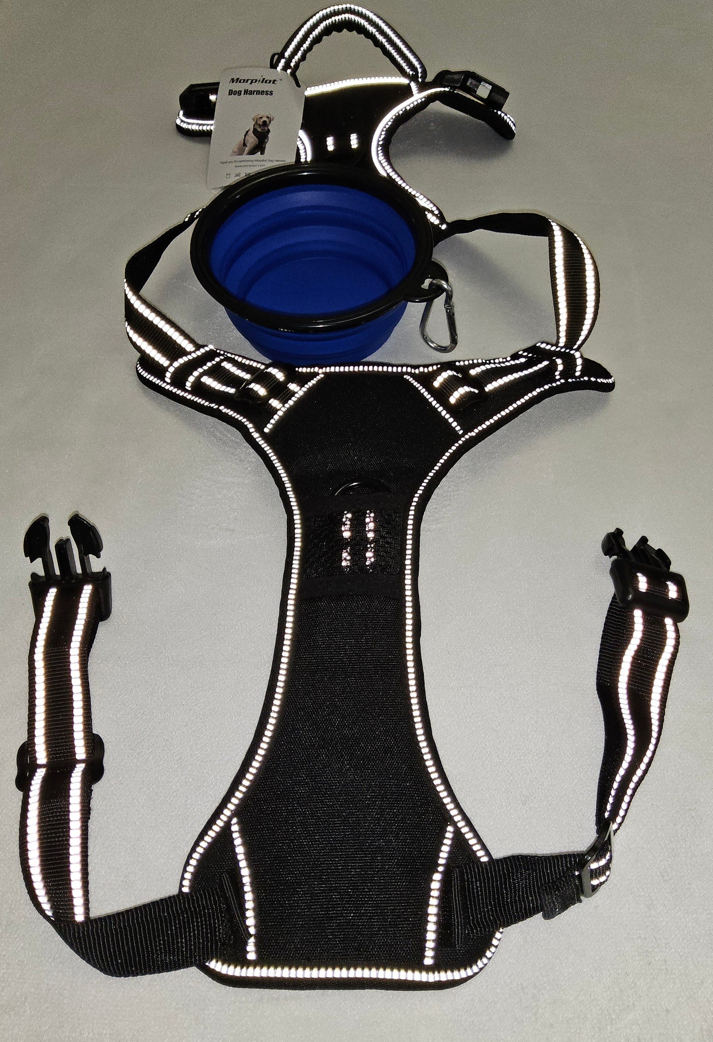 Haustier Geschirr Gr. M